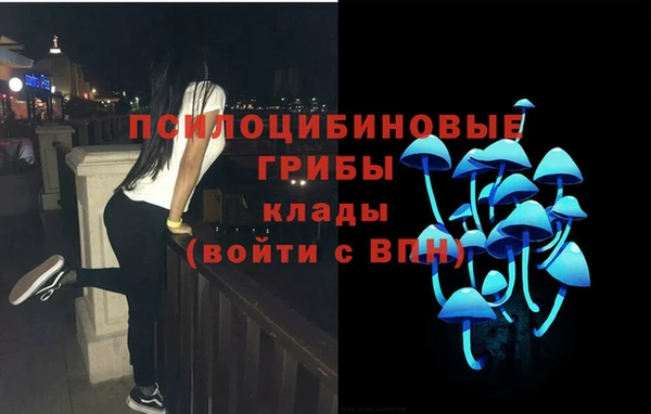 герыч Инсар