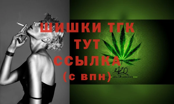мет Инта
