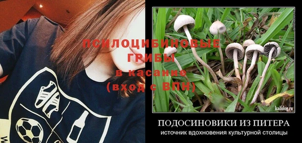 прущие крисы Каменка