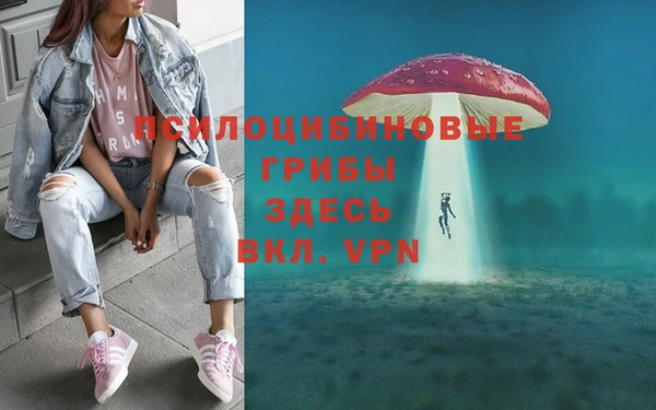 мет Инта