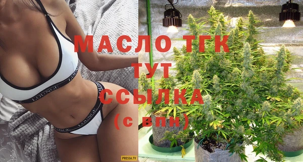 мет Инта