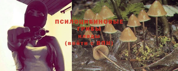 mdpv Иннополис