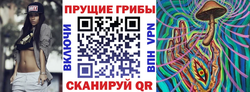 Купить закладки  Малоярославец  Псилоцибиновые грибы Cubensis 