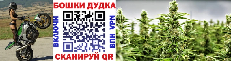 Купить  Малоярославец  Конопля MAZAR 